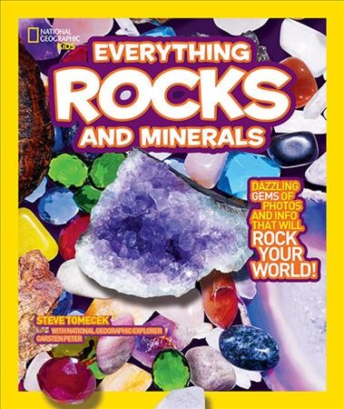 Everything rocks and minerals / by Steve Tomecek.